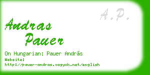 andras pauer business card